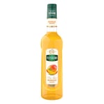 Smaksättare Mathieu Teisseire Syrup Mango 70cl