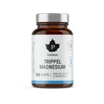 Pureness Trippel Magnesium, 120 kapslar: 12-Pack (155 kr/st)