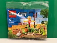 LEGO Farm Garden & Scarecrow, City, Polybag, 2022, 34 Pieces, No: 30590