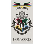 Harry Potter Hogwarts Beach Handduk One Size Flerfärgade