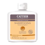 Shampooing usage fréquent, soluté de yoghourt, cosmétique bio