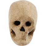 Creativ Halloween - Papier Maché Kranium Dödskalle Höjd: 10 cm