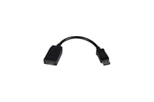 StarTech.com DisplayPort to HDMI Adapter - 1920 x 1200 - DP to HDMI Converter - Plug and Play DisplayPort to HDMI Dongle (DP2HDMI) - videoadapter - DisplayPort / HDMI - 24 cm