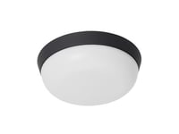 Texa Design - Cetus II fläktbelysning - Takfläkt - Antracit