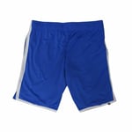 Sport shorts til mænd Nike Slam Blå XL