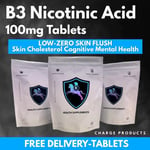 B3 Niacin 500 Tablets 100mg Nicotinic Vitamin Cholesterol LDL HDL Supplement