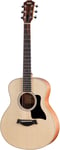 TAYLOR GS MINI SAPELE