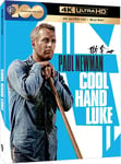 - Cool Hand Luke (1967) / Rebell I Lenker 4K Ultra HD