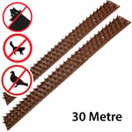 30 Metre Fence Wall SECURITY SPIKES Intruder Deterrent Repellent Bird Cat Guard