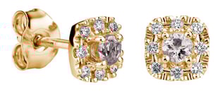 Kohinoor Valerie 143-263-16MO morganit diamant örhängen i 14k guld