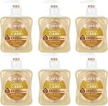 Carex Advanced Care Shea Butter Antibacterial Hand Wash Pack of 6, Hand Soap wit