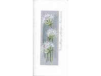Mak Kort För Namnsdag I 03 - Vita Blommor