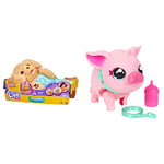 Little Live Pets Charlie Cozy Dozys Puppy interactive cuddly dog toy & My Pet Pig | Soft and Jiggly Interactive Toy Pig That Walks, Dances and Nuzzles. 20+ Sounds & Reactions. Batteries Included