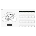 Ridley Grifn Grx600 2x12 2024 Gravelcykel