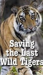 Saving the Last Wild Tigers: kids bookcase