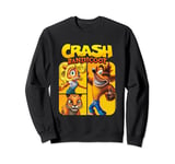 Crash Bandicoot & Friends Vintage Character Panels Sweatshirt