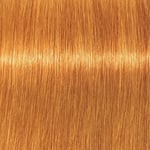 Professional Igora Vibrance Kit 9-7 Extra Light Blonde Copper