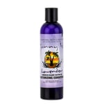 Sunny Isle Jamaican Black Castor Oil Moisturizing Conditioner Lavender