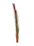 EUROPALMS Reed grass with cattails, light-brown, artificial, 152cm, Europalms Vass gräs w / cattails, ljusbrun, 152cm