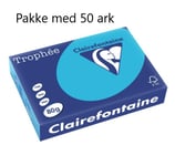 Blåt A4 Papir 80g print og kopi 50ark, Kongeblå TR1976-50
