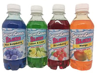 Snowycone Slush Syrup, Slush Puppy Syrup, Slush Machine Syrup, Snow Cone Machines 4 x 250ml, Blue Raspberry, Strawberry Mango, Lemon and Lime