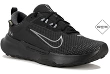 Nike Juniper Trail 2 Gore-Tex W Chaussures de sport femme