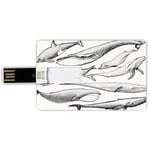 16G USB Flash Drives Credit Card Shape Whale Decor Memory Stick Bank Card Style Hand Drawn Whales from every Single Type Small and Big Artistic Image,Black and White Waterproof Pen Thumb Lovely Jump D