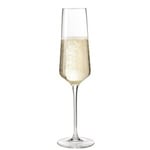 Leonardo Puccini Champagneglas 6-pack