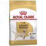 RC Labrador Adult 2 x 12kg