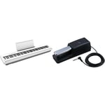 Roland Fp-30X Digital Piano with Built-In Powerful Amplifier And Stereo Speakers. & Dp-10 Traditional Style Damper Pedal