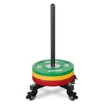 Bumper Plate Trolly