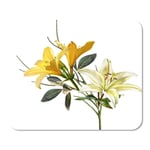 Mousepad Computer Notepad Office Yellow Digital of Beautiful Flower on Painting Fresh Leaf Home School Game Player Computer Worker Inch