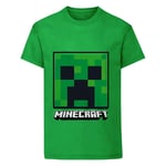 Minecraft Childrens/Kids Creeper Face T-Shirt