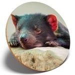 1 x Sleepy Tasmanian Devil Animal - Round Coaster Kitchen Student Kids Gift 2202