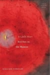 Gillian Conoley - A Little More Red Sun on the Human New & Selected Poems Bok