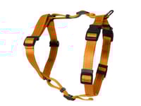 Dogman H-Sele Iris Orange 10Mm