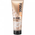 Fudge All Blonde Colour Lock Shampoo (250ml)
