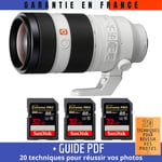 Sony FE 100-400mm f/4.5-5.6 GM OSS + 3 SanDisk 32GB UHS-II 300 MB/s + Guide PDF 20 techniques pour réussir vos photos