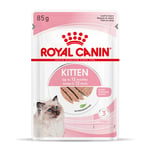 Royal Canin Kitten mousse - 96 x 85 g