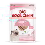 Royal Canin Kitten mousse - 96 x 85 g