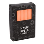 RAJX Spell Candles, Orange Protection Candle To attract Confidence Ideal for Candle Magic Rituals & Ceremonies, Pack of 12 (10cmx1cm)