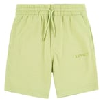 Levis Levi's® Kids Boys Joggingkläder shorts Nile Green