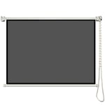 Pull Down Projection Screen, Handheld HD Manual Projector Screen Cloth, for Home Cinema Theater Presentation Education,40 inch