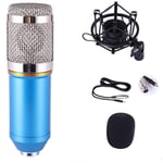YYZLG Home Studio Cardioid Condenser Mic Kit, Live Sound Card Microphone Set Condenser Microphone Anchor Computer Condenser Microphone Yy Shout Microphone-blue