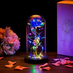 Beauty and the Beast Rose in Glass Dome Forever Rose Flower Kit Enchanted Galaxy Light Gifts for Women Girls Adults Mums on Valentine Mothers Day Wedding Anniversary Birthday (Blue)