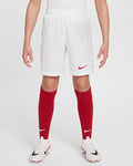 Türkiye 2024/25 Stadium Home/Away Older Kids' Nike Dri-FIT Football Replica Shorts