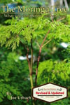 The Moringa Tree: What you don't know can HEAL you!