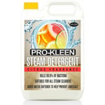 Steam Detergent High Concentrate Solution - Citrus Fragrance - 1 x 5L