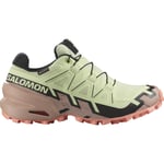 Salomon Speedcross 6 GTX W