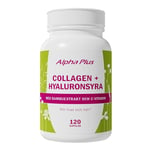 Alpha Plus Collagen + Hyaluronsyra ALPHA PLUS